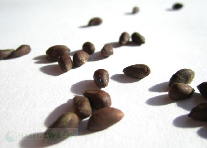 1767848025105128.jpg 微信图片_20240924144156_Copy.jpg