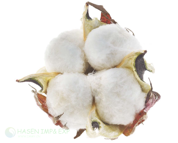 1767848073347554.png 微信图片_20240924144016.png