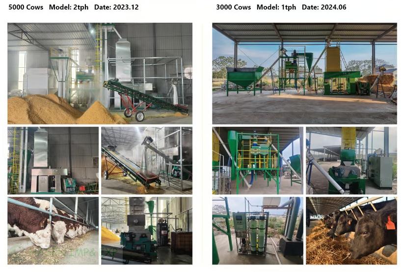 1767849316845223.jpg 5000 cows feeding line_Copy.jpg